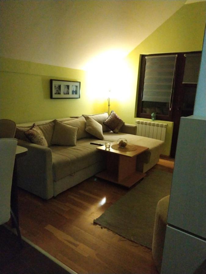 Gledovic Apartment Zlatibor