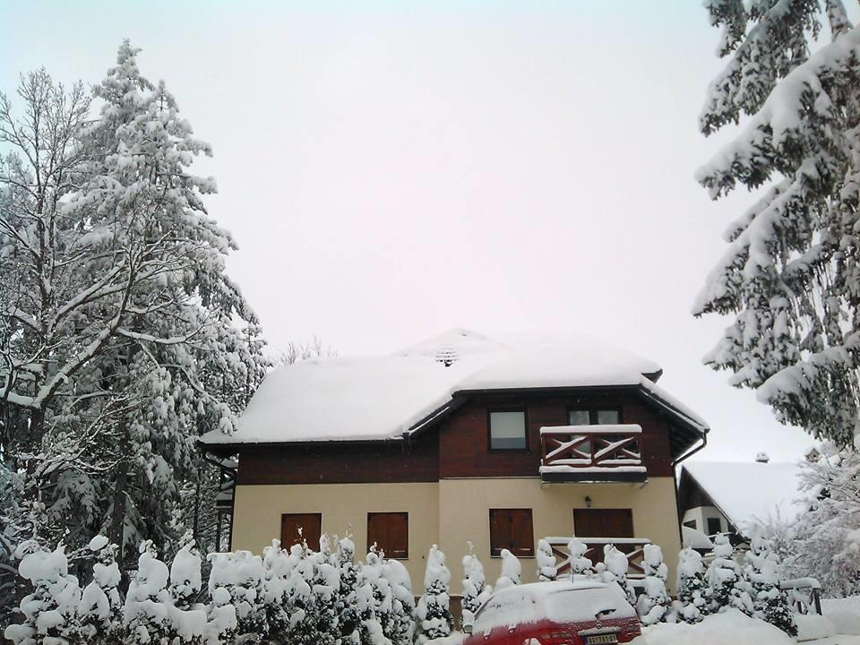 Gledovic * Zlatibor