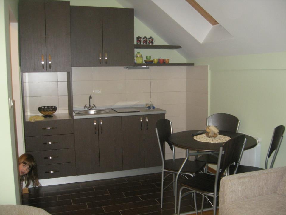Gledovic Apartment